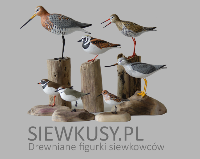 Siewkusy.pl - rcznie rzebione figurki siewkowcw